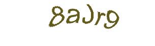 عبارت امنیتی