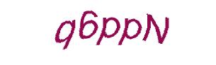 عبارت امنیتی