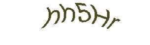 عبارت امنیتی