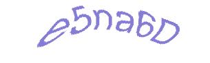 عبارت امنیتی