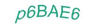 عبارت امنیتی