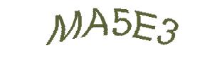 عبارت امنیتی