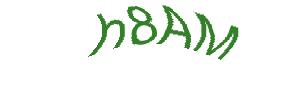 عبارت امنیتی