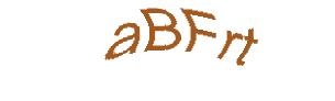 عبارت امنیتی