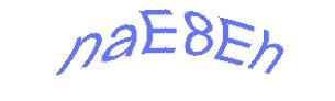 عبارت امنیتی