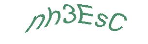 عبارت امنیتی