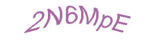 عبارت امنیتی