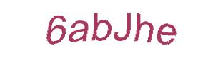 عبارت امنیتی