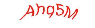 عبارت امنیتی