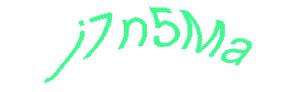 عبارت امنیتی