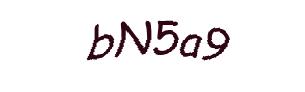 عبارت امنیتی