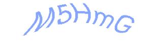 عبارت امنیتی