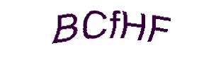 عبارت امنیتی
