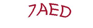 عبارت امنیتی