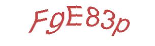 عبارت امنیتی