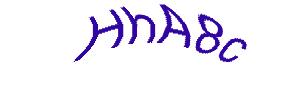 عبارت امنیتی