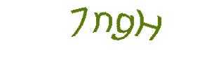 عبارت امنیتی