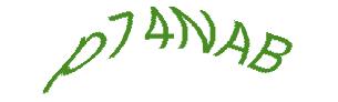 عبارت امنیتی