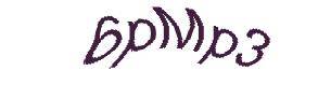 عبارت امنیتی