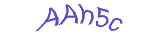 عبارت امنیتی