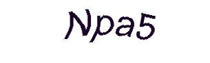 عبارت امنیتی