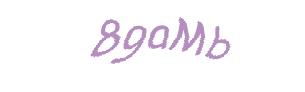 عبارت امنیتی