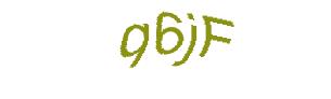 عبارت امنیتی
