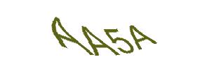 عبارت امنیتی