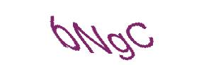 عبارت امنیتی