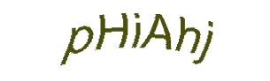 عبارت امنیتی