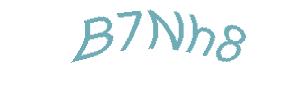 عبارت امنیتی
