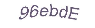 عبارت امنیتی