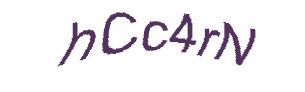 عبارت امنیتی