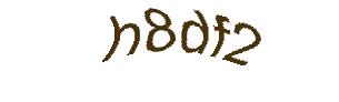 عبارت امنیتی