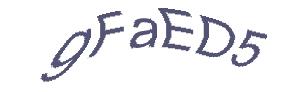 عبارت امنیتی