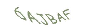 عبارت امنیتی