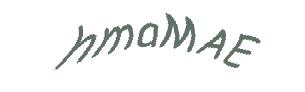 عبارت امنیتی