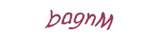 عبارت امنیتی