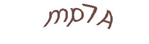 عبارت امنیتی