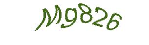 عبارت امنیتی