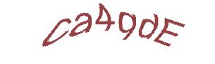 عبارت امنیتی