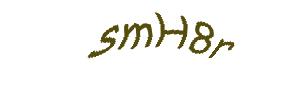 عبارت امنیتی