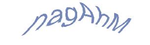 عبارت امنیتی
