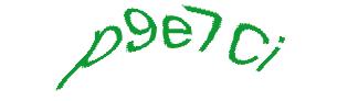 عبارت امنیتی