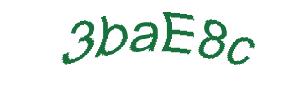 عبارت امنیتی
