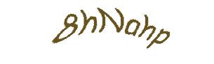 عبارت امنیتی