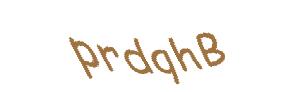 عبارت امنیتی