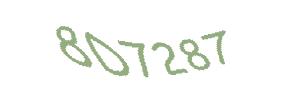 عبارت امنیتی