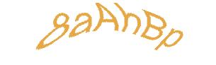 عبارت امنیتی