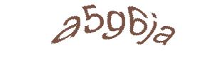 عبارت امنیتی